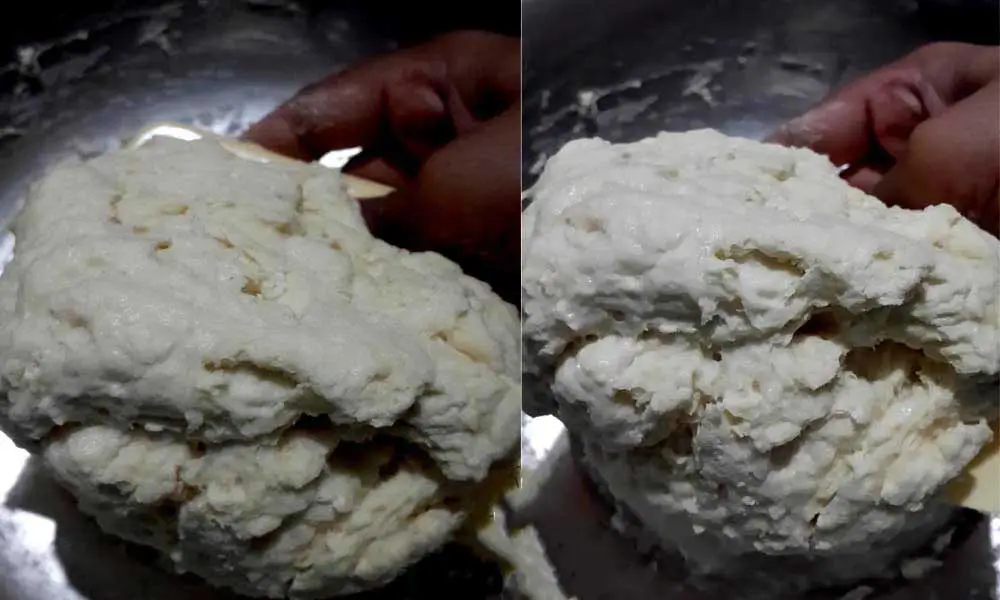 French-Bread-Baguette-Dough-after-mixing