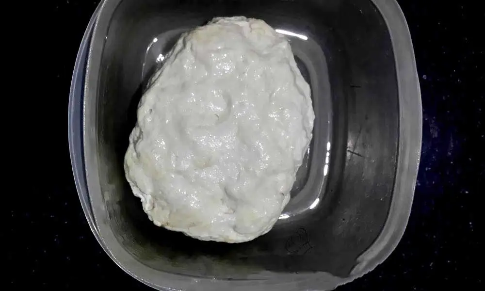 French-Bread-Baguette-Dough-for-first-rise