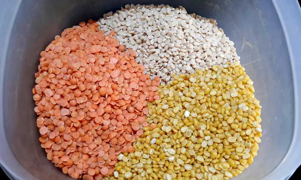 Mixed-Lentils-for-Gluten-Free-Pizza-Base
