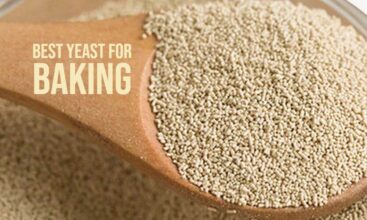 Buy Best Yeast for Bread