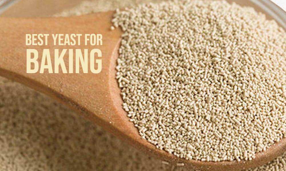 You are currently viewing Buy Best Yeast for Bread