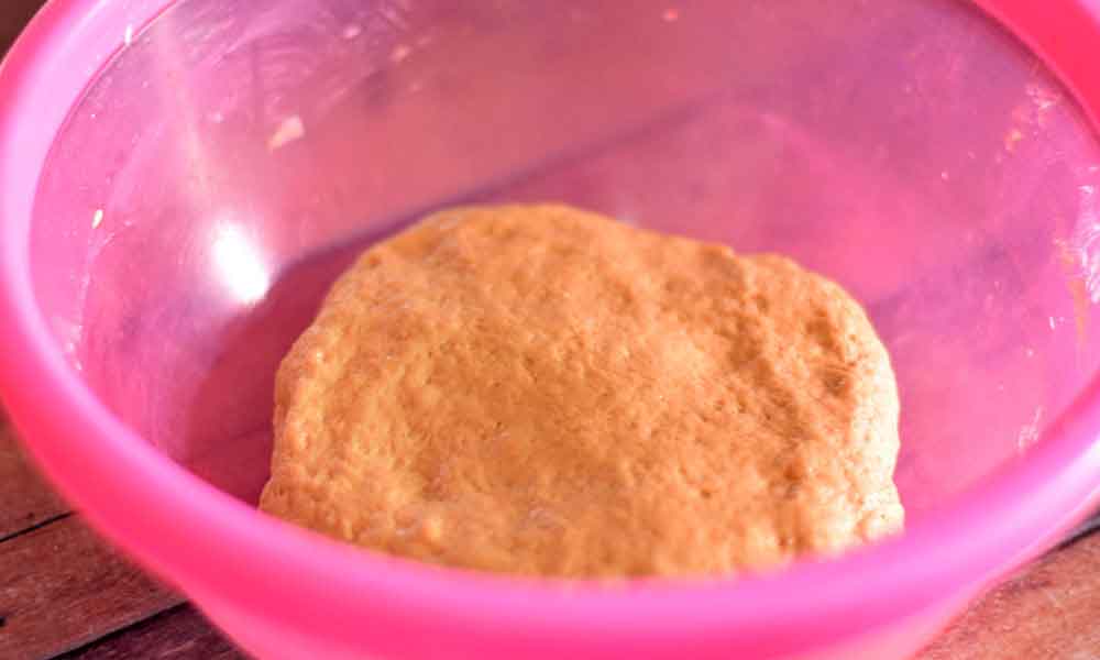 Brown-Bread-Dough-Before-Resting-ABCB Brown Bread Dough Before Resting Abcb