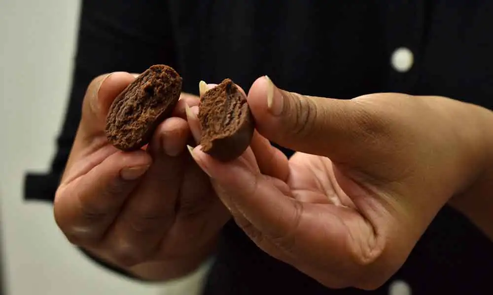 Coffee-Bean-Cookies-texture-inside