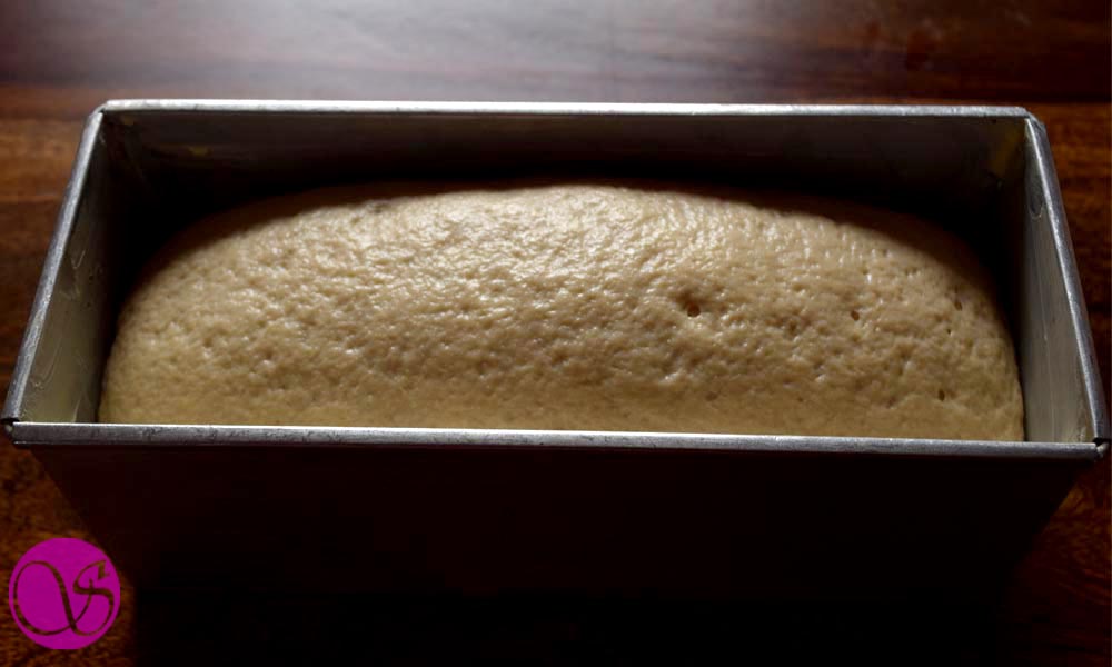 Honey Buttermilk Bread dough rise Honey Buttermilk Bread dough rise